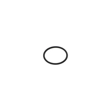 0663-2100-24 O-Ring