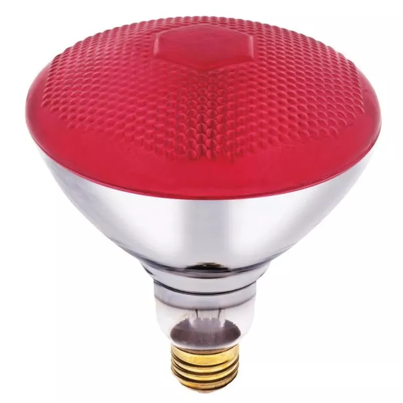 100 W E26 Reflector Incandescent Bulb E26 (medium) Red 1 Pk
