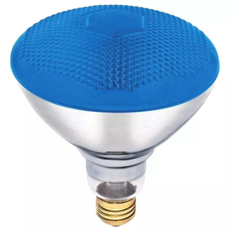 100 W Reflector Incandescent Bulb E26 (medium) Blue 1 Pk