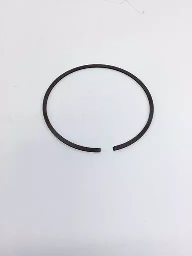 1617-5065-00 Seal Ring