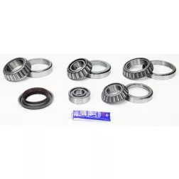 itemprop="name">NAPA BEARINGS SDK404R DIFF/BEARING SEAL KT